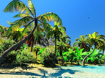 Zdjęcie kierunku: Honolulu